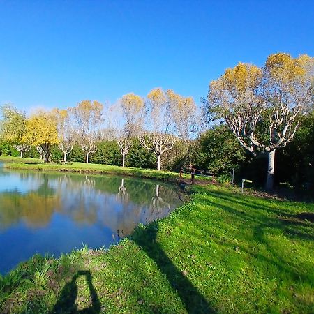 Domaine Du Lac De La Vallee La Roquette-sur-Siagne 外观 照片