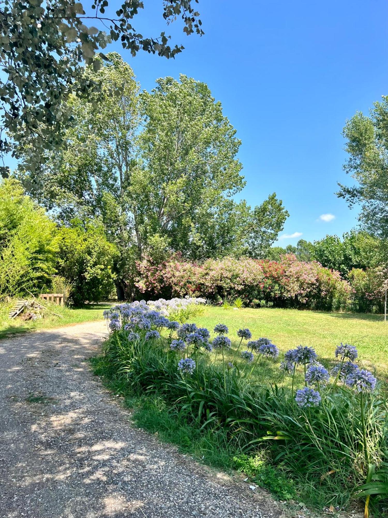 Domaine Du Lac De La Vallee La Roquette-sur-Siagne 外观 照片